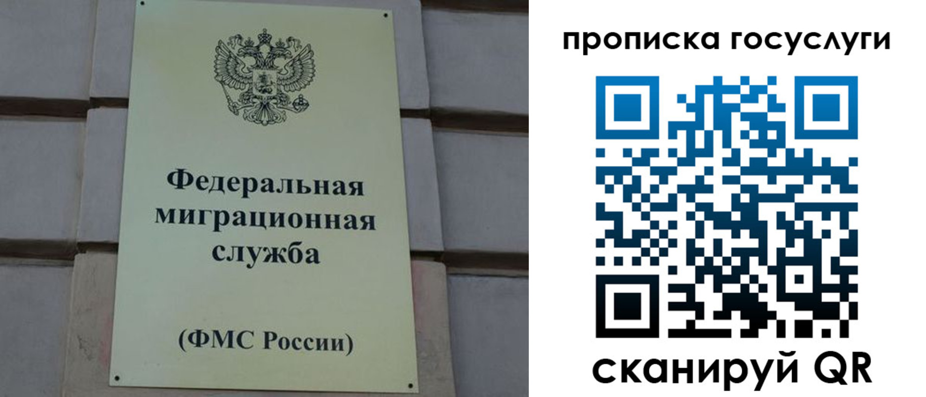 прописка ребенка в Сосновке